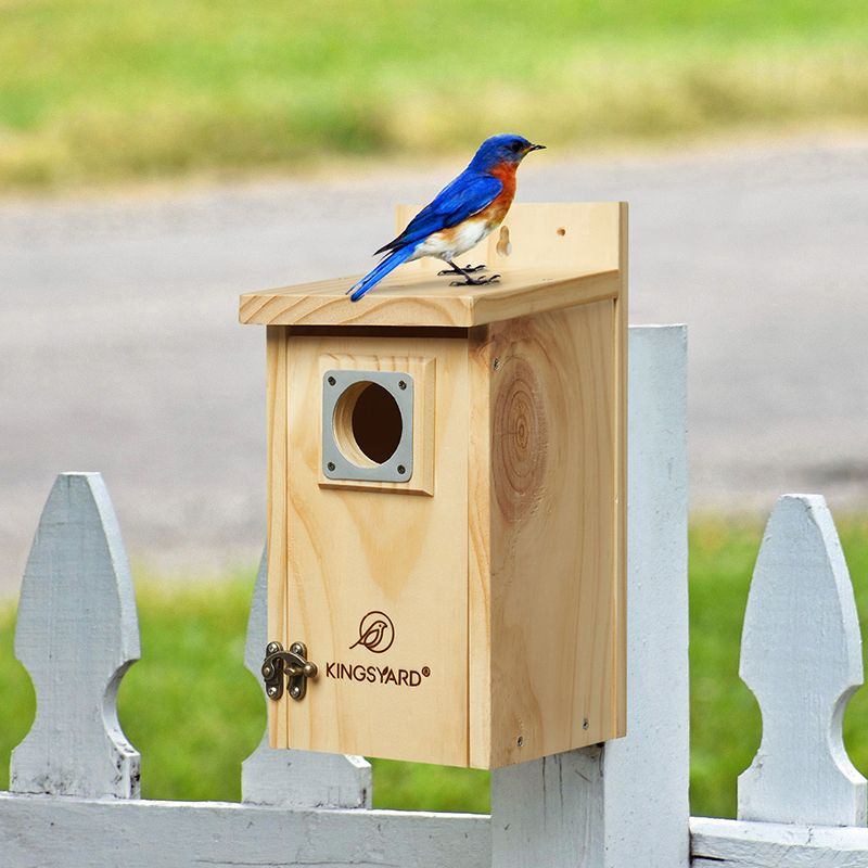 Kingsyard Classic Wooden Bluebird House with 1.5'' Hole