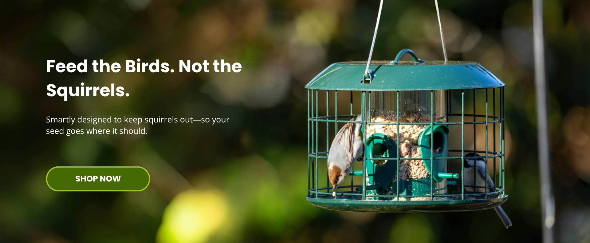 Shop Squirrel Proof Feeders