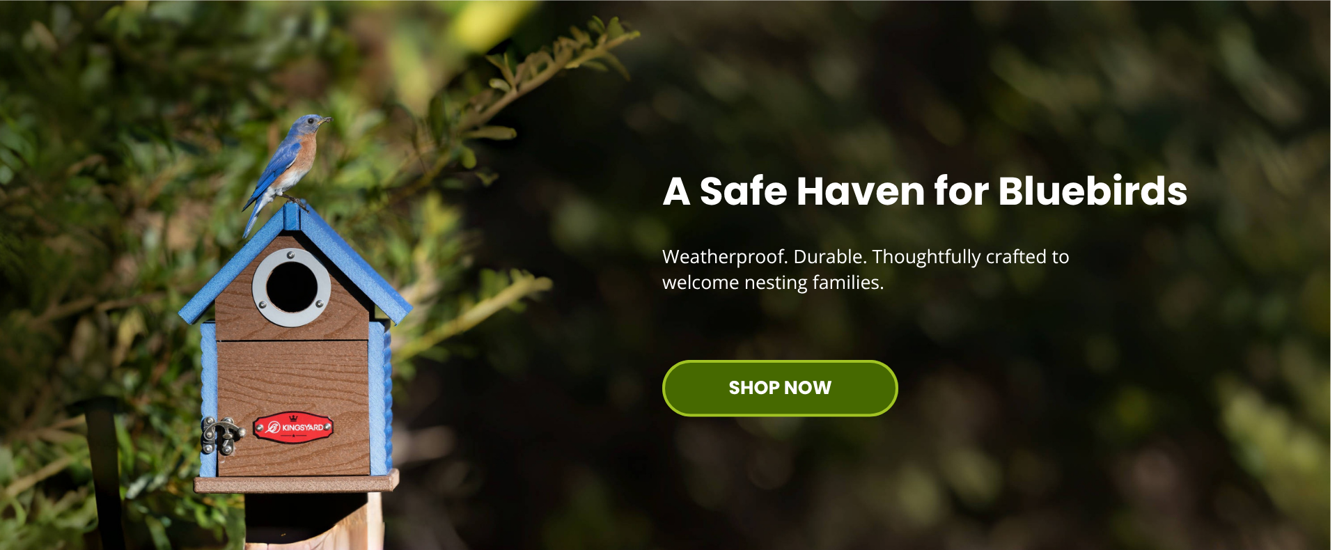 Shop Bluebird House