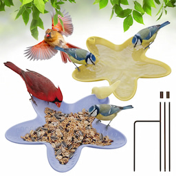 Starfish Shape (Purple&Yellow)