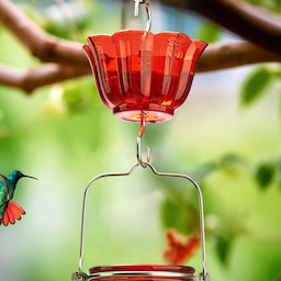 Kingsyard 2-Pack Ant Moat for Hummingbird Feeders 1