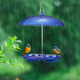 Kingsyard Recycled Plastic Platform Bird Feeder with Dome Top 1