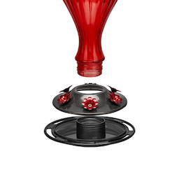 Kingsyard 24oz Leak Proof Glass Hummingbird Feeder with Ant Moat 4