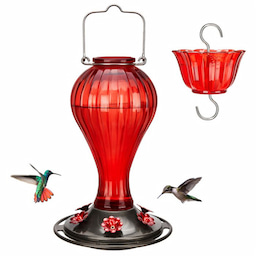 Kingsyard 24oz Leak Proof Glass Hummingbird Feeder with Ant Moat 5