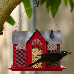 Kingsyard 24oz Leak Proof Glass Hummingbird Feeder with Ant Moat 6