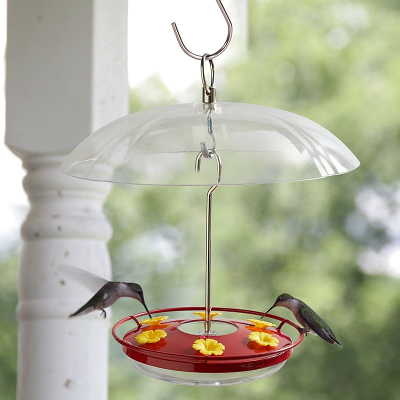 Kingsyard 12oz Tray Hummingbird Feeder with Weatherproof Dome &amp; Ant Moat