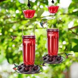 Red Kingsyard 16oz Glass Hummingbird Feeder With Ant Moat 1 Red Kingsyard 16oz Glass Hummingbird Feeder With Ant Moat 1