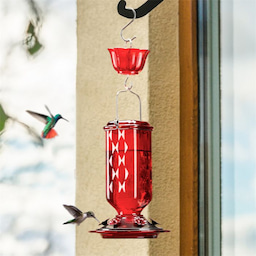 Kingsyard 24oz Leak Proof Glass Hummingbird Feeder with Ant Moat 1 Kingsyard 24oz Leak Proof Glass Hummingbird Feeder with Ant Moat 1