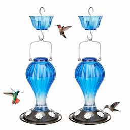 Blue Kingsyard 24oz Leak Proof Glass Hummingbird Feeder with Ant Moat 2 Blue Kingsyard 24oz Leak Proof Glass Hummingbird Feeder with Ant Moat 2