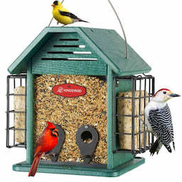 Kingsyard 3 in 1 Double Suet Metal Mesh Wild Bird Feeder 2 Kingsyard 3 in 1 Double Suet Metal Mesh Wild Bird Feeder 2