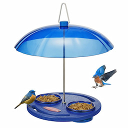 Kingsyard Recycled Plastic Platform Bird Feeder with Dome Top 2 Kingsyard Recycled Plastic Platform Bird Feeder with Dome Top 2
