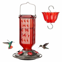 Kingsyard 24oz Leak Proof Glass Hummingbird Feeder with Ant Moat 4 Kingsyard 24oz Leak Proof Glass Hummingbird Feeder with Ant Moat 4
