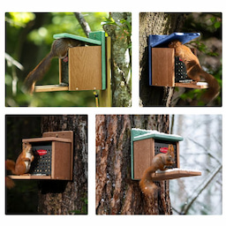 Kingsyard Recycled Plastic Squirrel Feeder 5 Kingsyard Recycled Plastic Squirrel Feeder 5