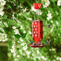 Kingsyard 24oz Leak Proof Glass Hummingbird Feeder with Ant Moat 5 Kingsyard 24oz Leak Proof Glass Hummingbird Feeder with Ant Moat 5
