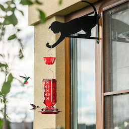 Kingsyard 24oz Leak Proof Glass Hummingbird Feeder with Ant Moat 6 Kingsyard 24oz Leak Proof Glass Hummingbird Feeder with Ant Moat 6