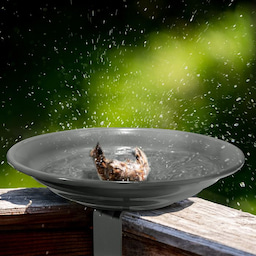 Kingsyard Metal Bird Bath Clamp-On Bird Water Bowl 1 Kingsyard Metal Bird Bath Clamp-On Bird Water Bowl 1