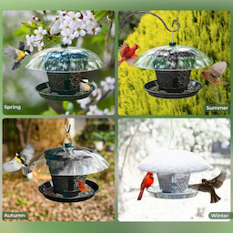 Kingsyard Dual-Use Metal Mesh Wild Bird Feeder with Weatherproof Dome 10 Kingsyard Dual-Use Metal Mesh Wild Bird Feeder with Weatherproof Dome 10