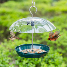 Kingsyard Adjustable Platform Bird Feeder with Squirrel Proof Design 4 Kingsyard Adjustable Platform Bird Feeder with Squirrel Proof Design 4