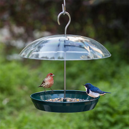 Kingsyard Adjustable Platform Bird Feeder with Squirrel Proof Design 7 Kingsyard Adjustable Platform Bird Feeder with Squirrel Proof Design 7