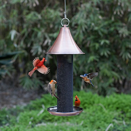 Kingsyard Metal Tube Bird Feeder with Copper Roof 4 Kingsyard Metal Tube Bird Feeder with Copper Roof 4