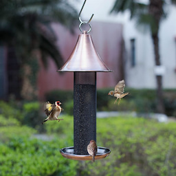 Kingsyard Metal Tube Bird Feeder with Copper Roof 6 Kingsyard Metal Tube Bird Feeder with Copper Roof 6