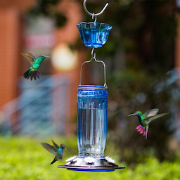 Blue Kingsyard 16oz Glass Hummingbird Feeder With Ant Moat 1 Blue Kingsyard 16oz Glass Hummingbird Feeder With Ant Moat 1