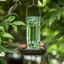 Green Kingsyard Glass Bird Waterer for Outdoor Use 7 Green Kingsyard Glass Bird Waterer for Outdoor Use 7