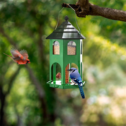 Kingsyard Weatherproof Metal House Bird Feeder 6 Kingsyard Weatherproof Metal House Bird Feeder 6