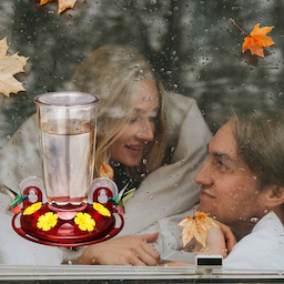 Kingsyard 16oz Leak Proof Window Hummingbird Feeder 5 Kingsyard 16oz Leak Proof Window Hummingbird Feeder 5