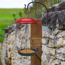 Kingsyard Metal Weather Protective Dome 1 Kingsyard Metal Weather Protective Dome 1
