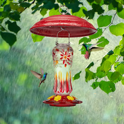 Kingsyard Metal Weather Protective Dome 4 Kingsyard Metal Weather Protective Dome 4