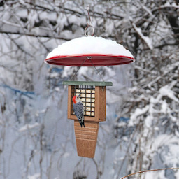 Kingsyard Metal Weather Protective Dome 5 Kingsyard Metal Weather Protective Dome 5