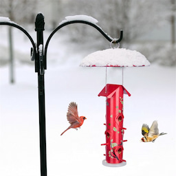 Kingsyard Squirrel & Weather Guard Dome for Hanging Bird Feeders 6 Kingsyard Squirrel & Weather Guard Dome for Hanging Bird Feeders 6