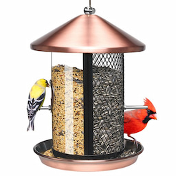 Kingsyard Dual Chamber Chew-Proof Metal Bird Feeder 2 Kingsyard Dual Chamber Chew-Proof Metal Bird Feeder 2