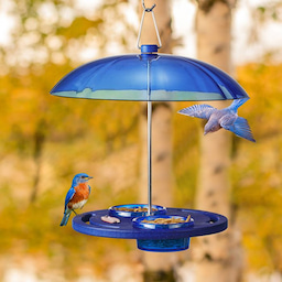 Blue Kingsyard Recycled Plastic Platform Bird Feeder with Dome Top 3 Blue Kingsyard Recycled Plastic Platform Bird Feeder with Dome Top 3