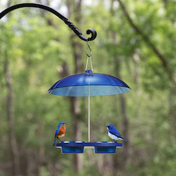 Blue Kingsyard Recycled Plastic Platform Bird Feeder with Dome Top 4 Blue Kingsyard Recycled Plastic Platform Bird Feeder with Dome Top 4