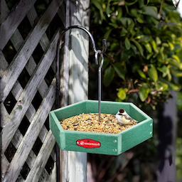 Kingsyard Recycled Plastic Platform Bird Feeder 1 Kingsyard Recycled Plastic Platform Bird Feeder 1