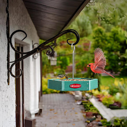 Kingsyard Recycled Plastic Platform Bird Feeder 3 Kingsyard Recycled Plastic Platform Bird Feeder 3