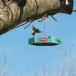 Kingsyard Recycled Plastic Platform Bird Feeder 4 Kingsyard Recycled Plastic Platform Bird Feeder 4