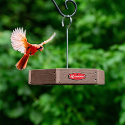 Brown Kingsyard Recycled Plastic Platform Bird Feeder 1 Brown Kingsyard Recycled Plastic Platform Bird Feeder 1