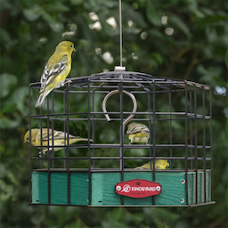 Kingsyard Squirrel-Proof Platform Hanging Bird Feeder 7 Kingsyard Squirrel-Proof Platform Hanging Bird Feeder 7