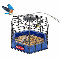 Blue Kingsyard Squirrel-Proof Platform Hanging Bird Feeder 2 Blue Kingsyard Squirrel-Proof Platform Hanging Bird Feeder 2