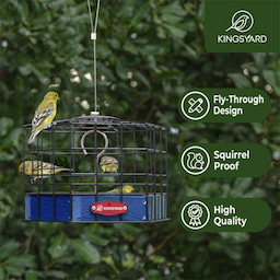 Blue Kingsyard Squirrel-Proof Platform Hanging Bird Feeder 8 Blue Kingsyard Squirrel-Proof Platform Hanging Bird Feeder 8