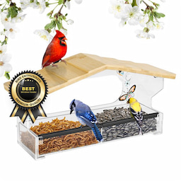 Kingsyard Window Hummingbird Feeder with Detachable Tray 2 Kingsyard Window Hummingbird Feeder with Detachable Tray 2