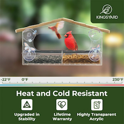 Kingsyard Window Hummingbird Feeder with Detachable Tray 6 Kingsyard Window Hummingbird Feeder with Detachable Tray 6