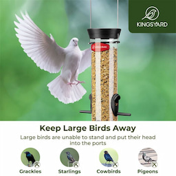 Kingsyard Extra Thick Tube Bird Feeder 5 Kingsyard Extra Thick Tube Bird Feeder 5