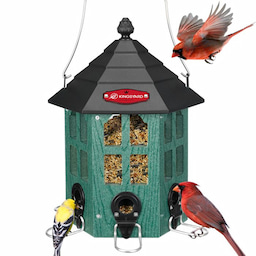 Kingsyard Wild Bird Feeder for Outside Hanging 2 Kingsyard Wild Bird Feeder for Outside Hanging 2