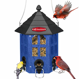 Blue Kingsyard Wild Bird Feeder for Outside Hanging 2 Blue Kingsyard Wild Bird Feeder for Outside Hanging 2