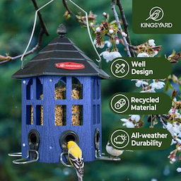 Blue Kingsyard Wild Bird Feeder for Outside Hanging 7 Blue Kingsyard Wild Bird Feeder for Outside Hanging 7