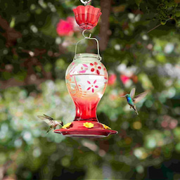 Kingsyard 26oz Leak Proof Glass Hummingbird Feeders with Ant Moat 1 Kingsyard 26oz Leak Proof Glass Hummingbird Feeders with Ant Moat 1